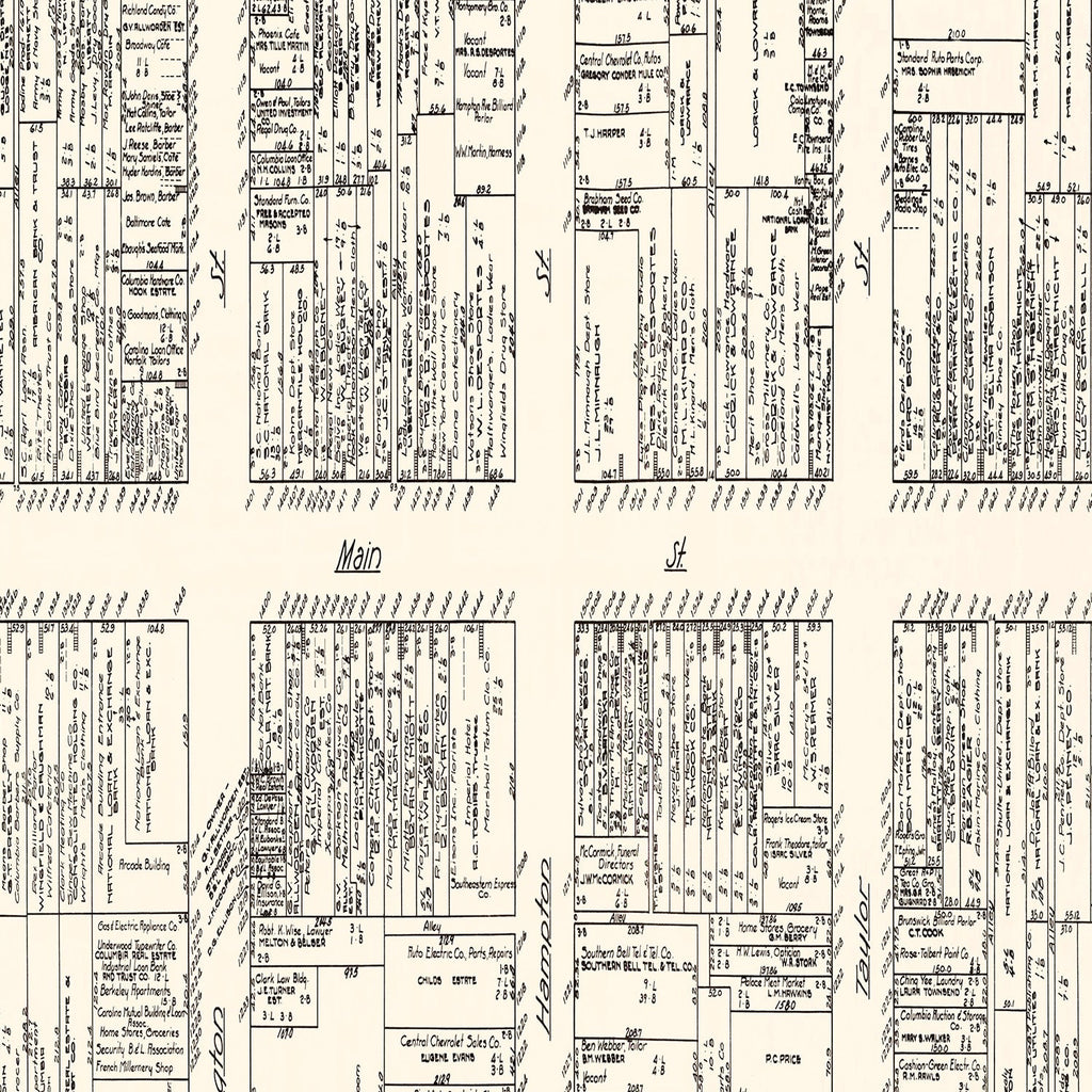 Vintage Map of Columbia, SC Business Section 1929