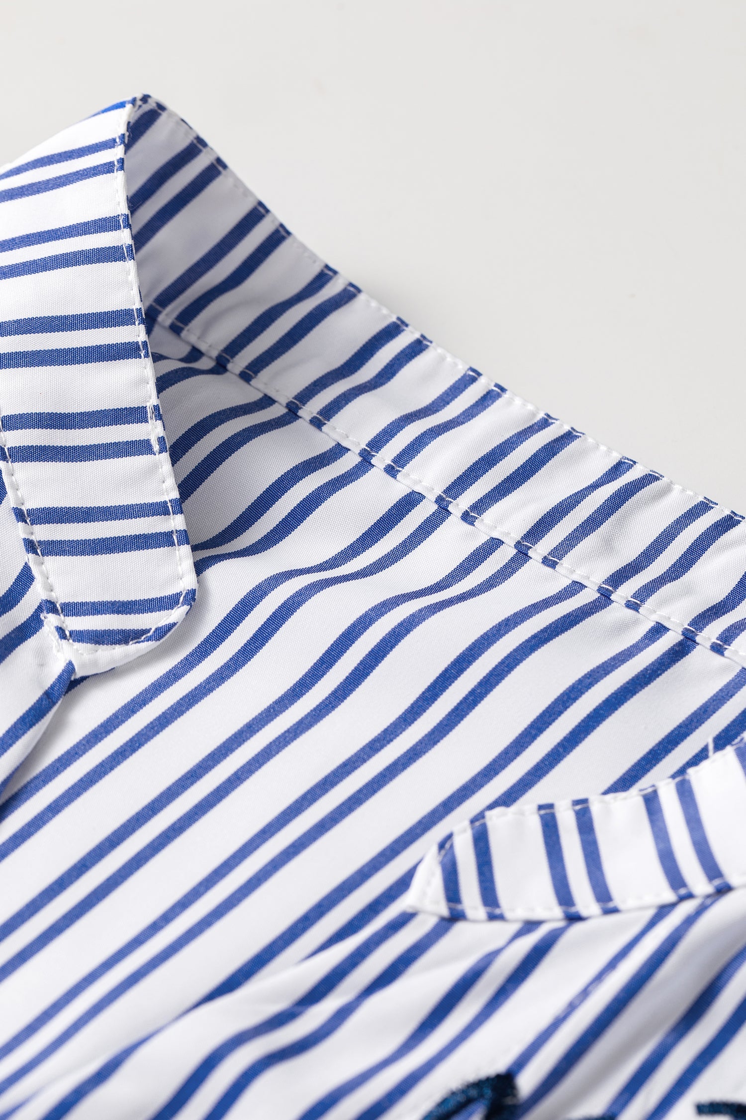 Stripe Embroidered Button Front Long Sleeve Shirt