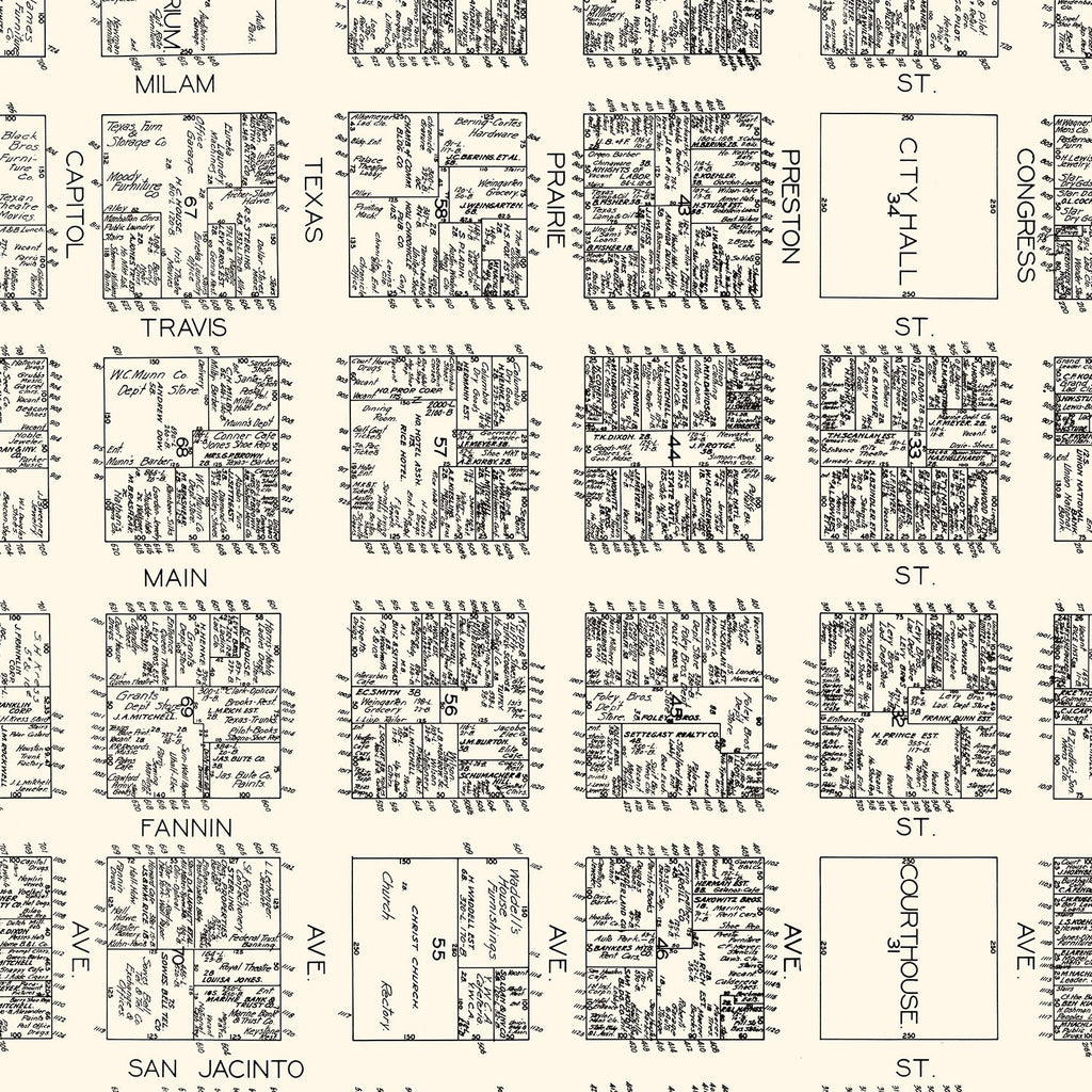 Vintage Map of Houston, TX Business Section 1929