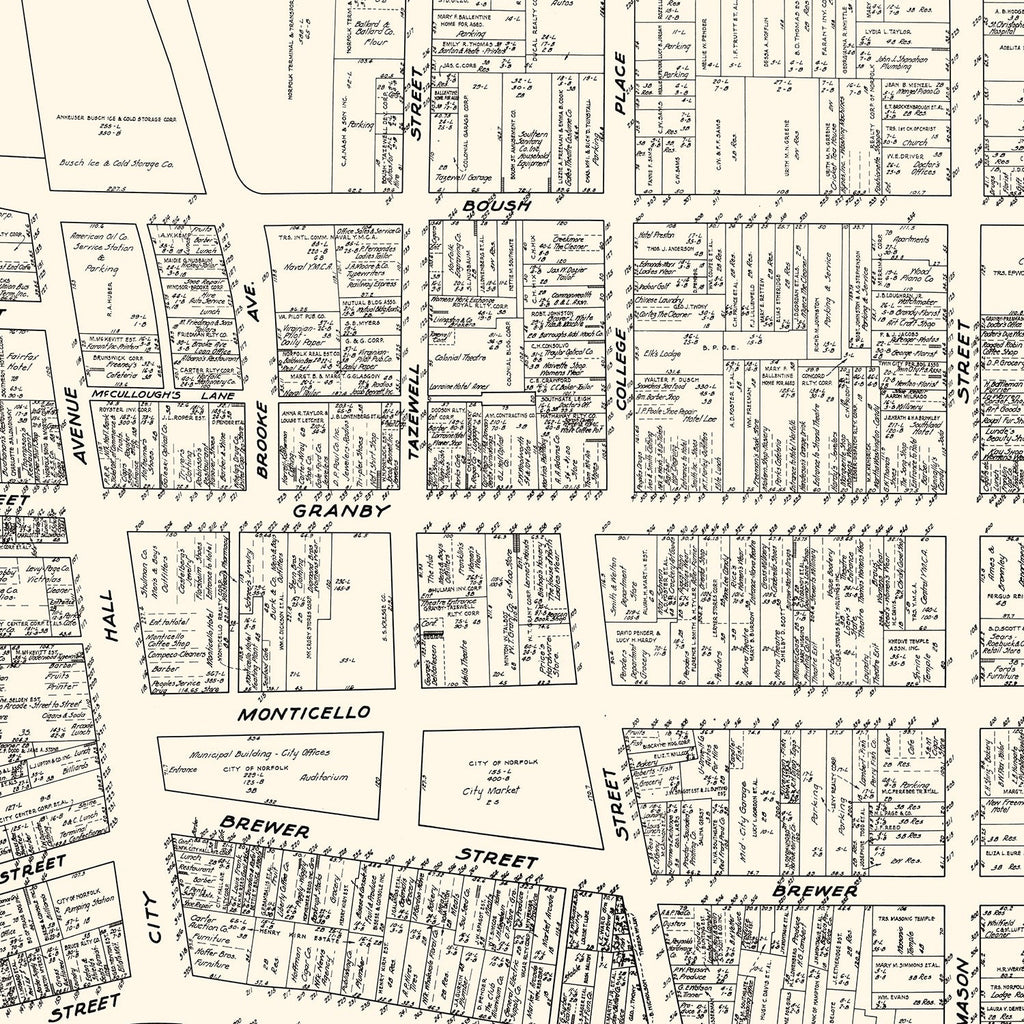 Vintage Map of Norfolk, VA Business Section 1929