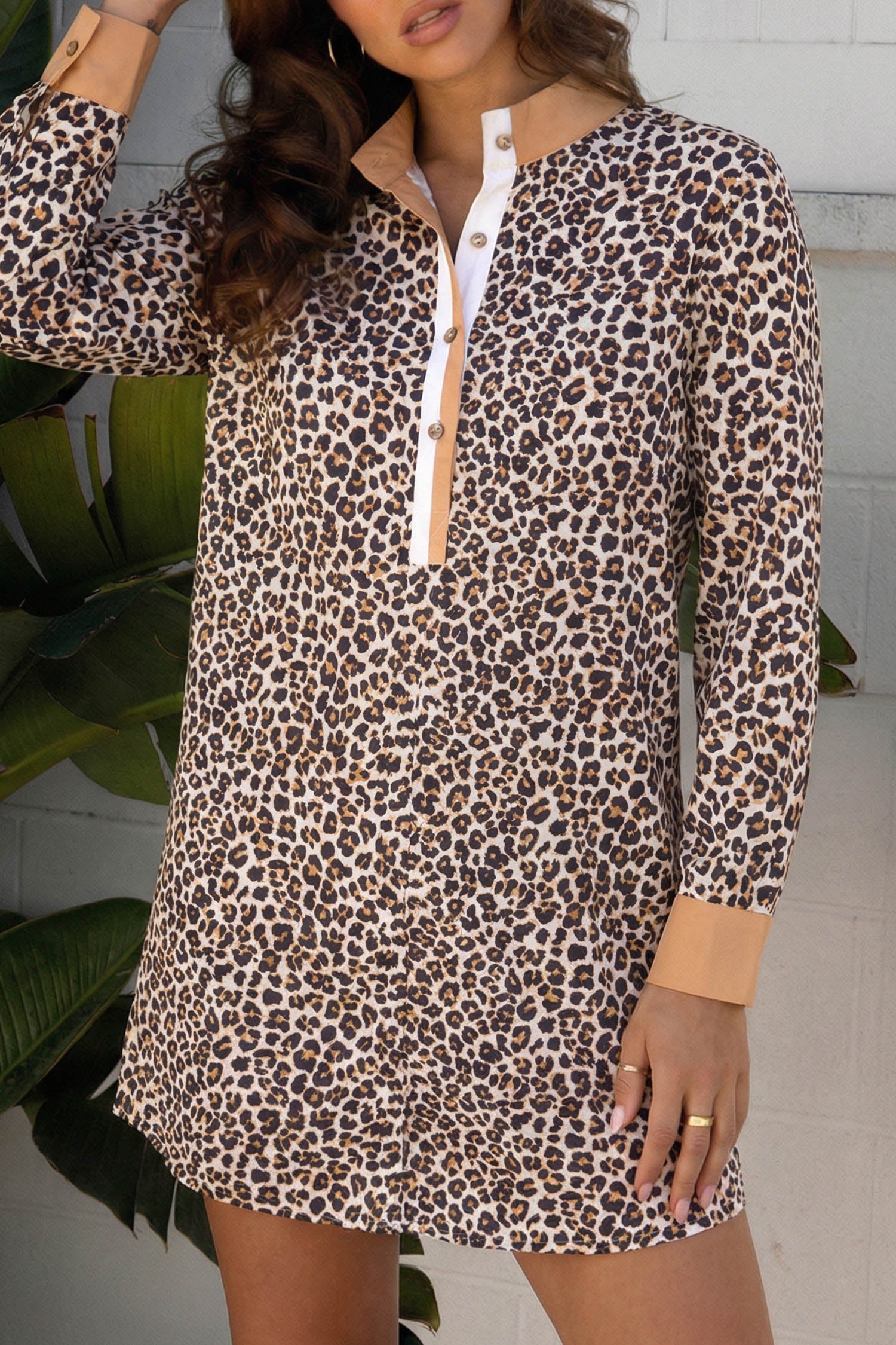 Leopard Stripe Collar Half Buttoned Flared Dress
