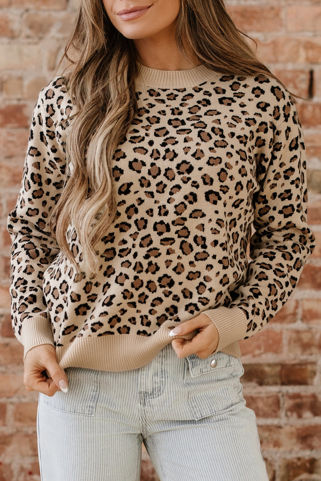 Leopard Contrast Trim Dolman Sleeve Sweater
