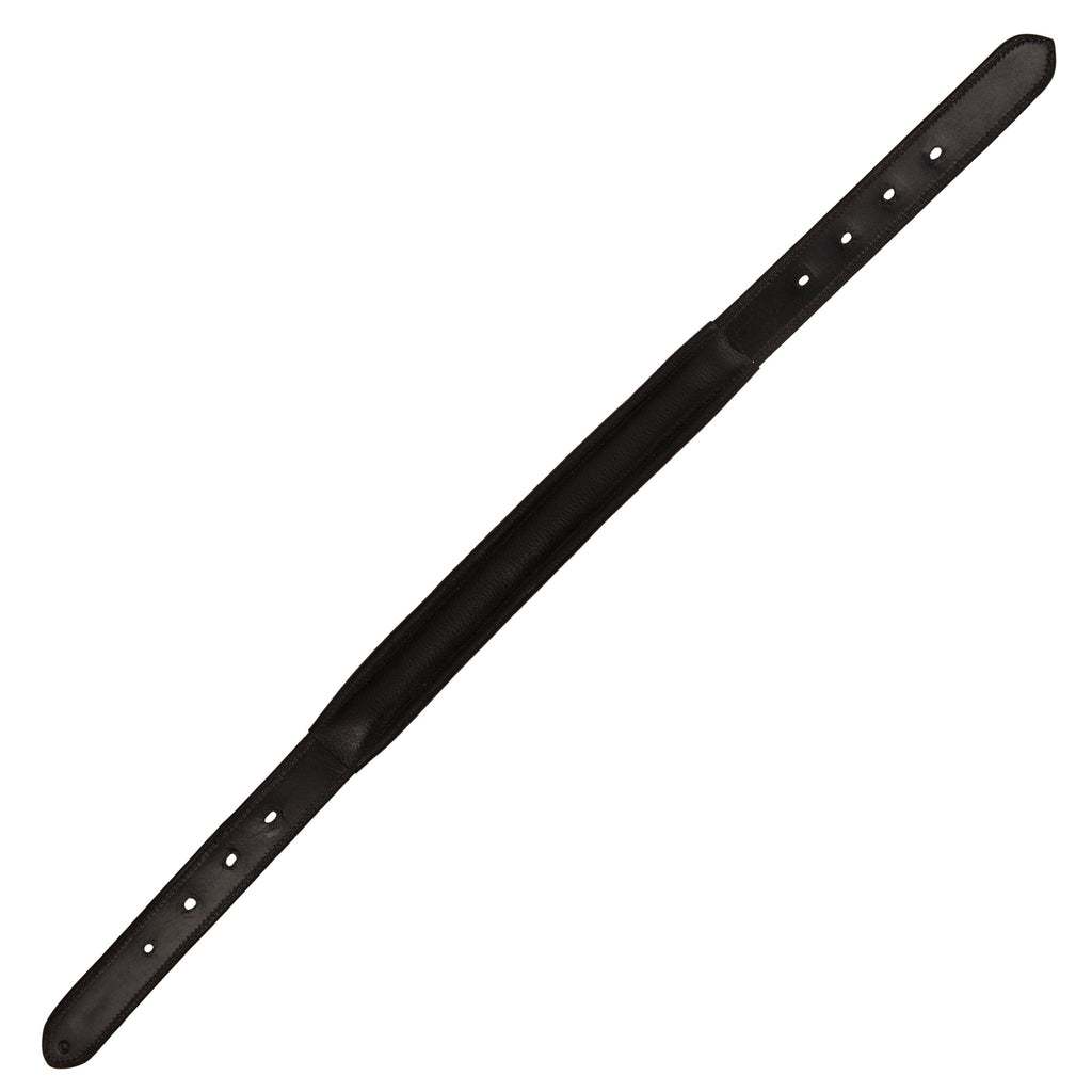 ExionPro Replacement Padded Halter Crown Piece