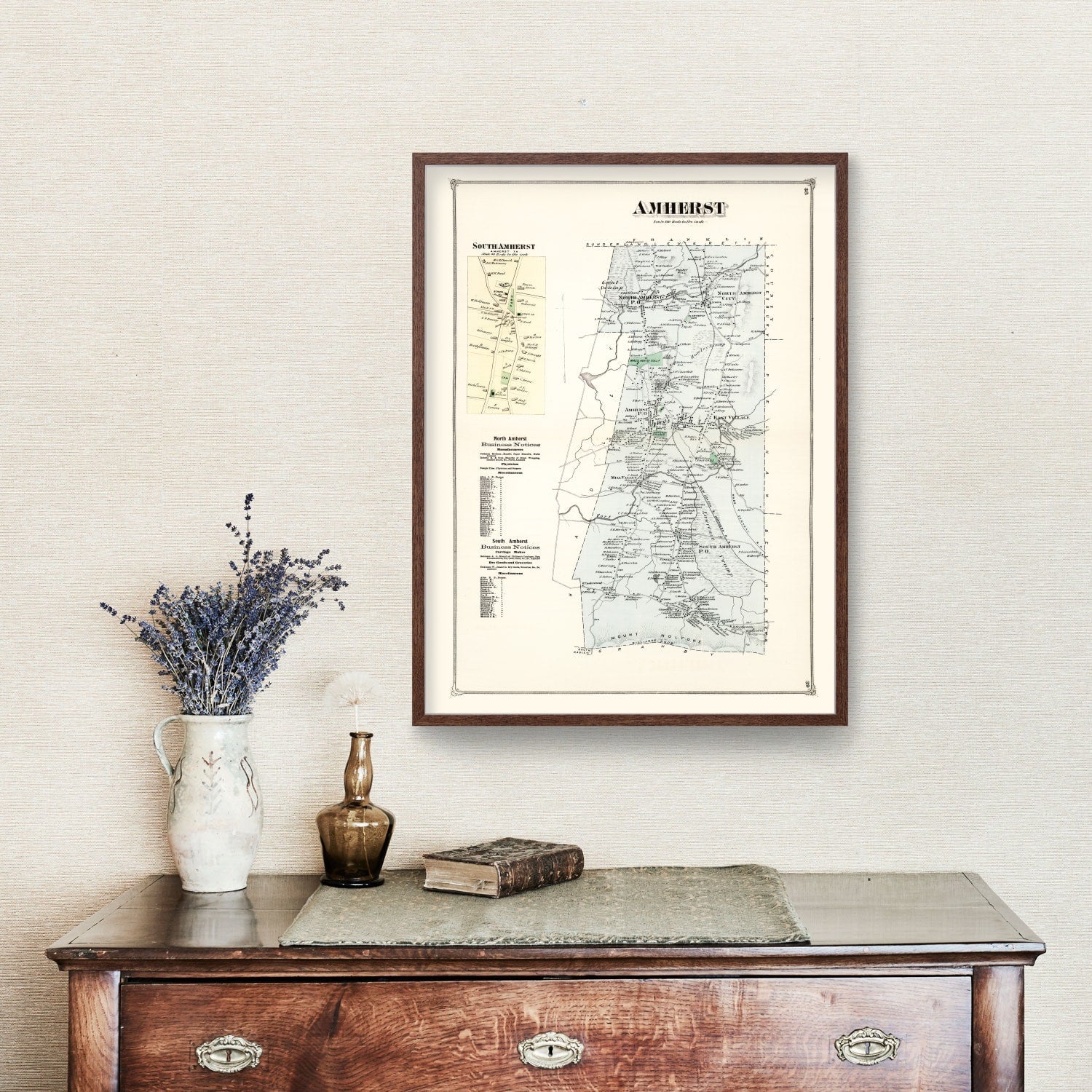 Vintage Map of Amherst, Massachusetts 1873