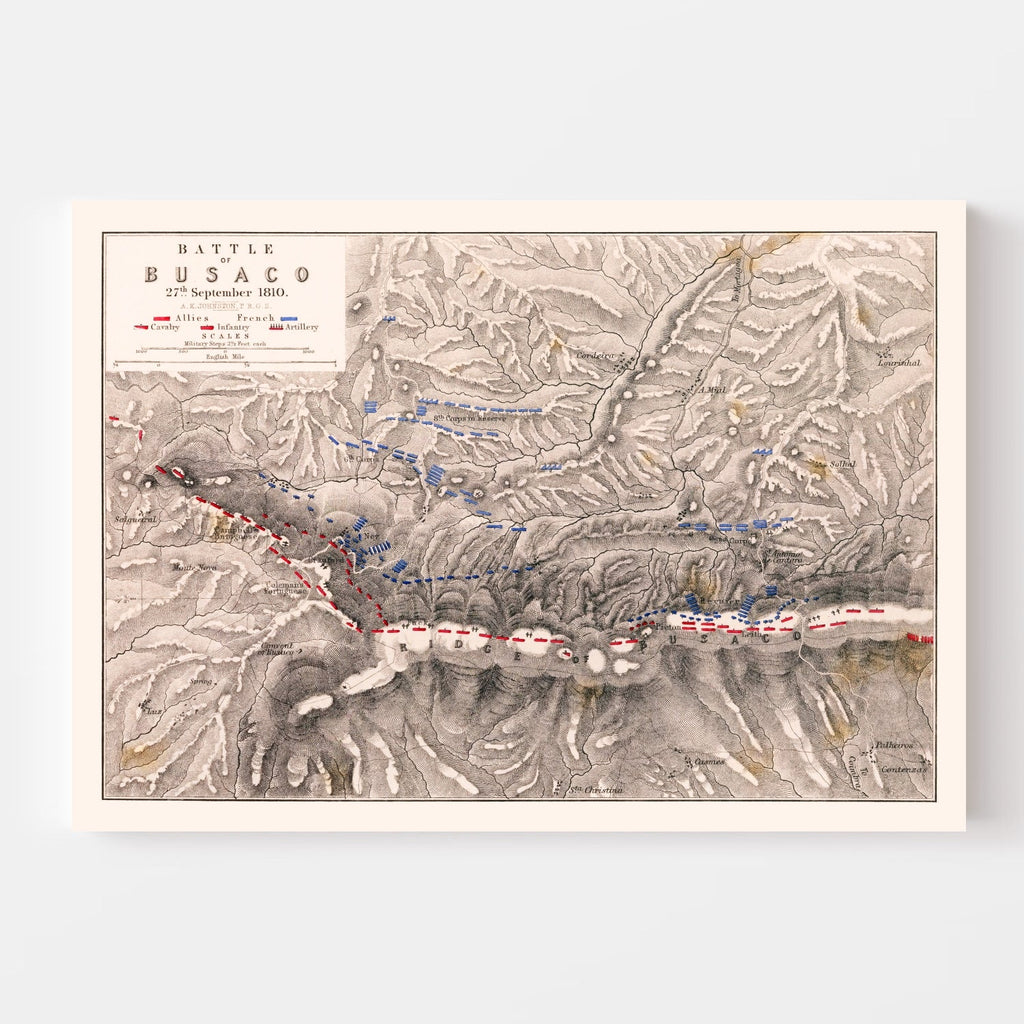 Vintage Map of the Battle of Busaco, 1810