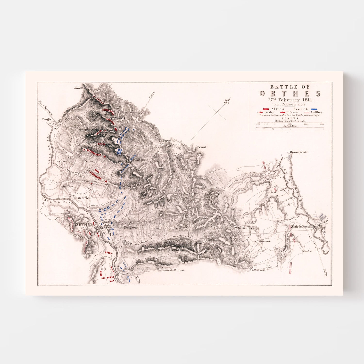Vintage Map of the Battle of Orthes, 1814