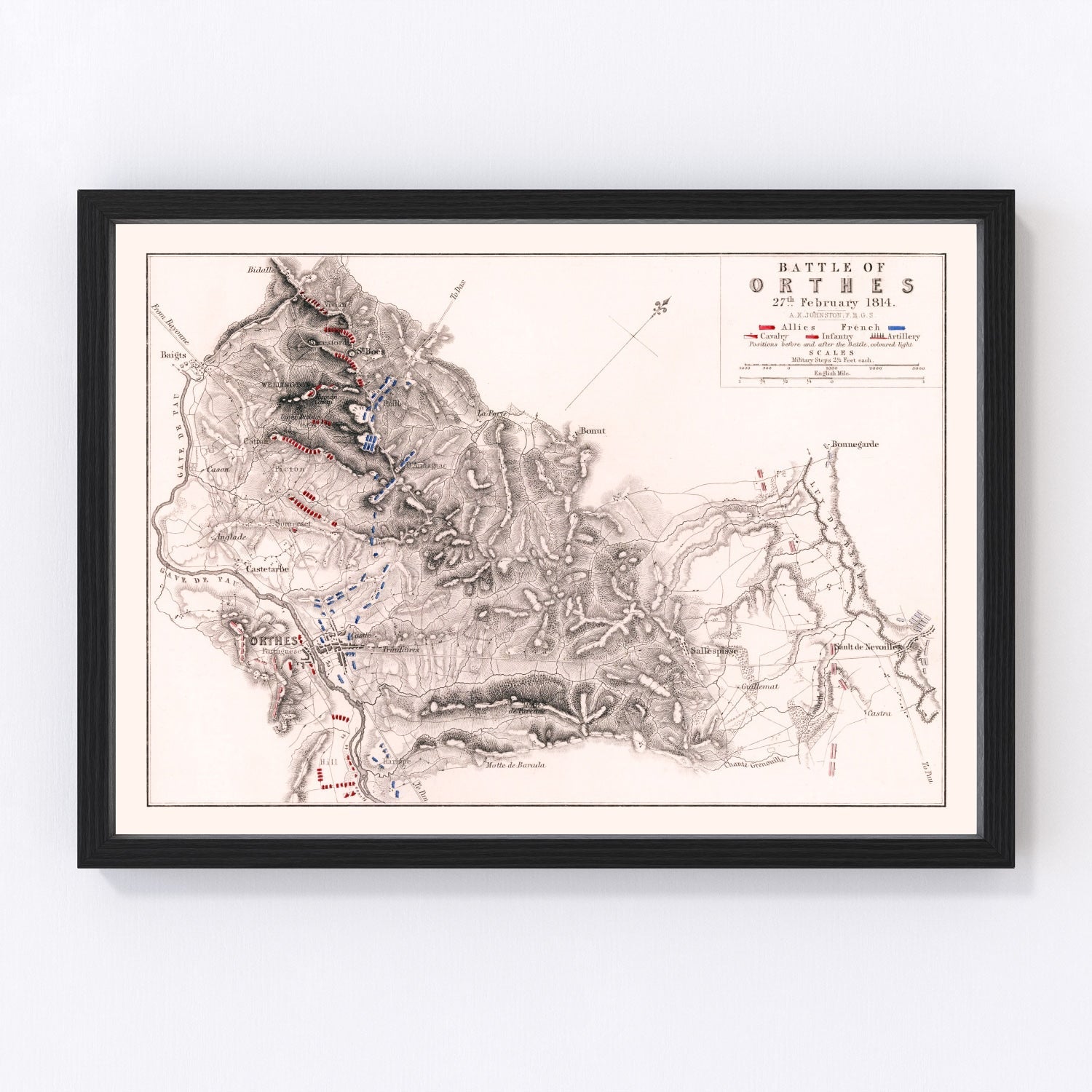 Vintage Map of the Battle of Orthes, 1814