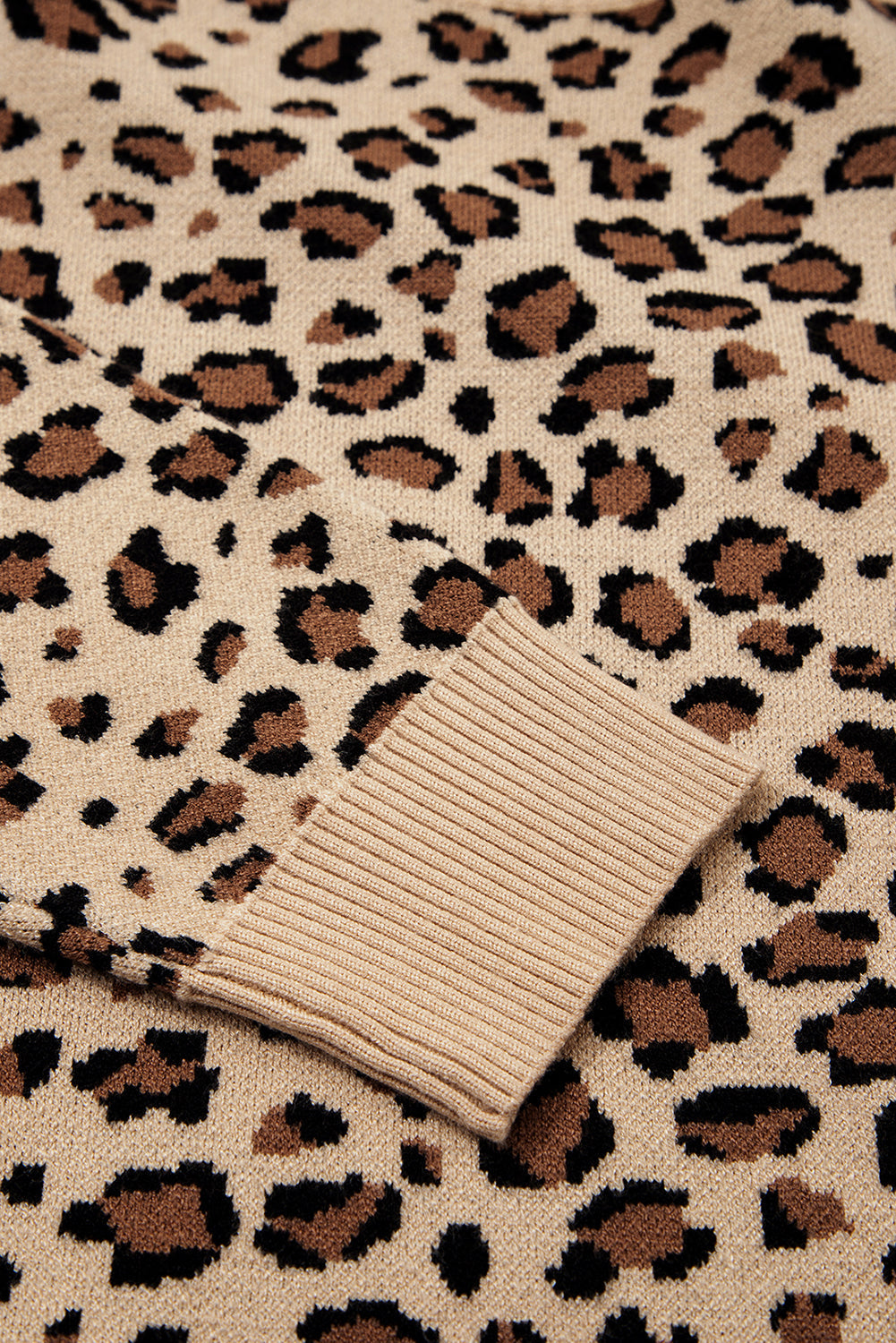 Leopard Contrast Trim Dolman Sleeve Sweater