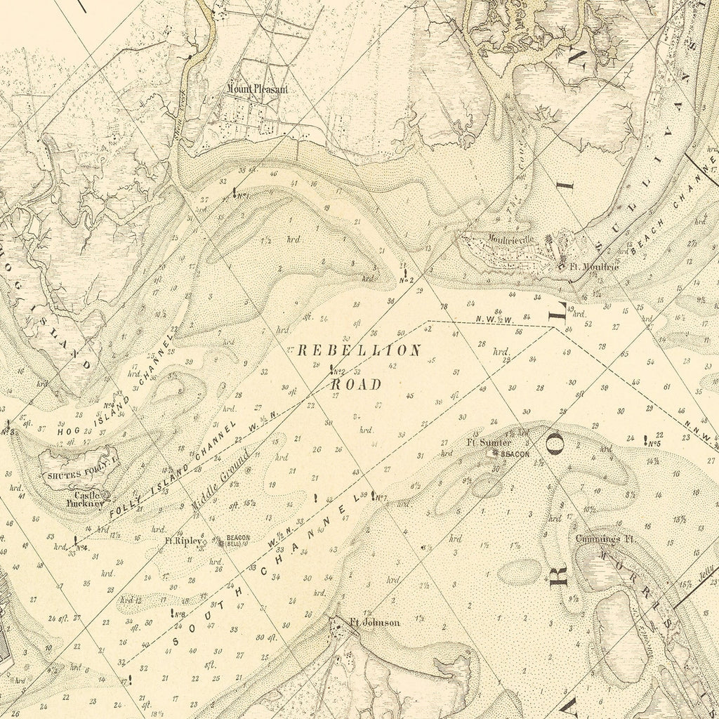 Vintage Map of Charleston, South Carolina 1884