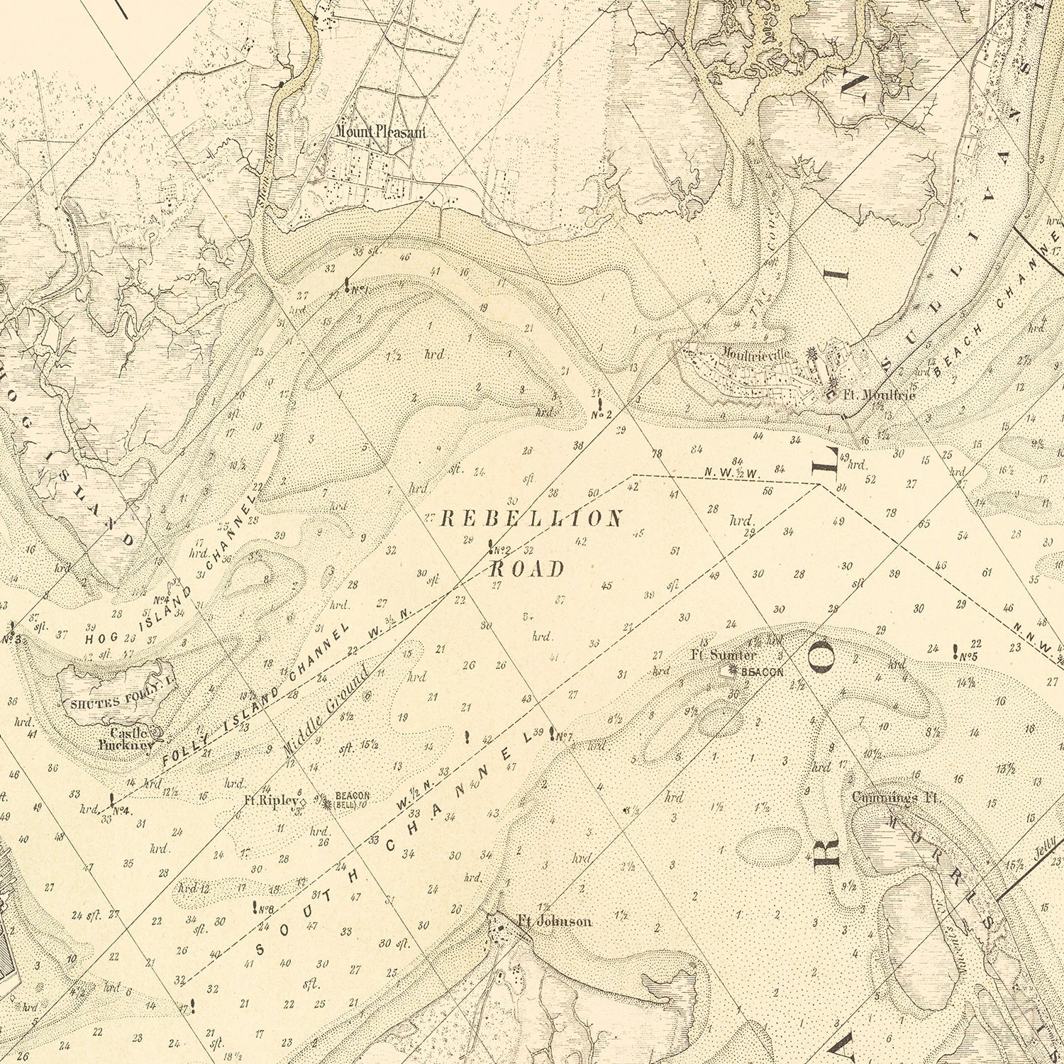 Vintage Map of Charleston, South Carolina 1884