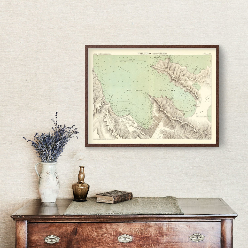 Vintage Map of Wellington, New Zealand 1881