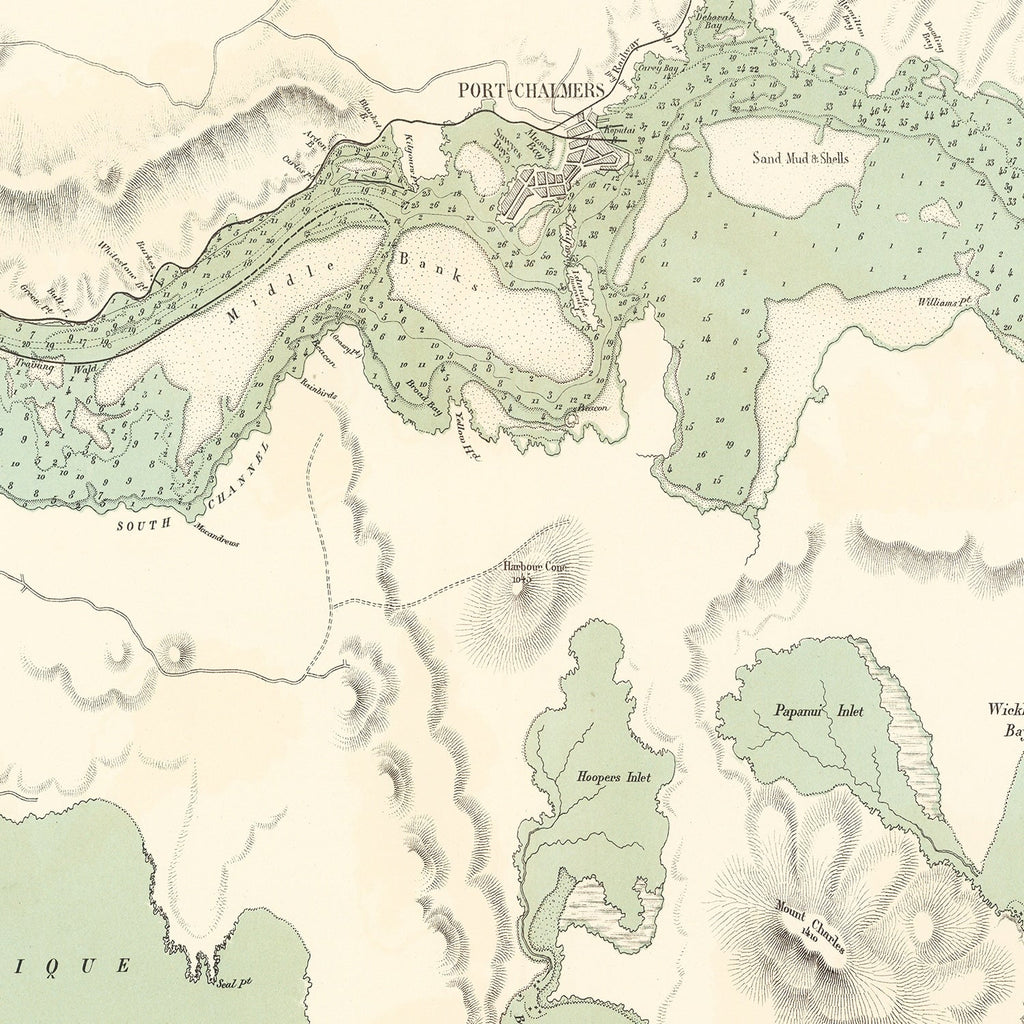 Vintage Map of Dunedin, New Zealand 1889