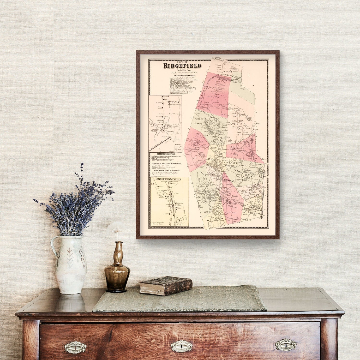 Vintage Map of Titticus, Connecticut 1867
