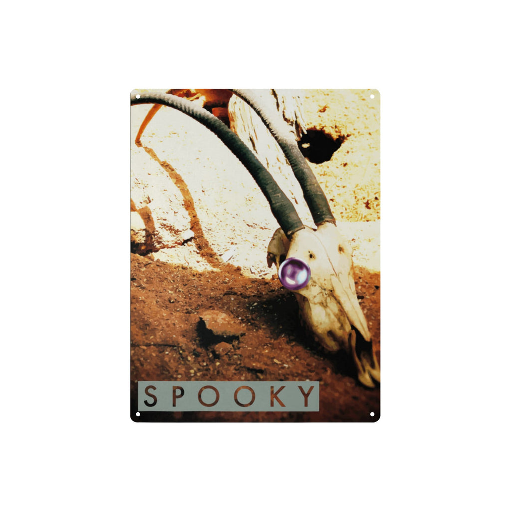 Spooky Skull Metal Tin Sign 12"x16" (Made in USA)