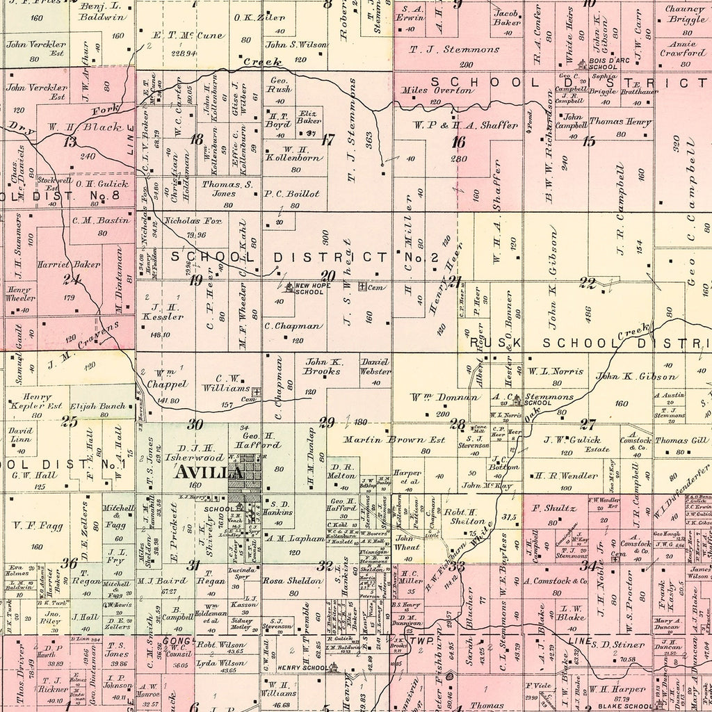 Vintage Map of McDonald Township, Jasper County, Missouri 1895