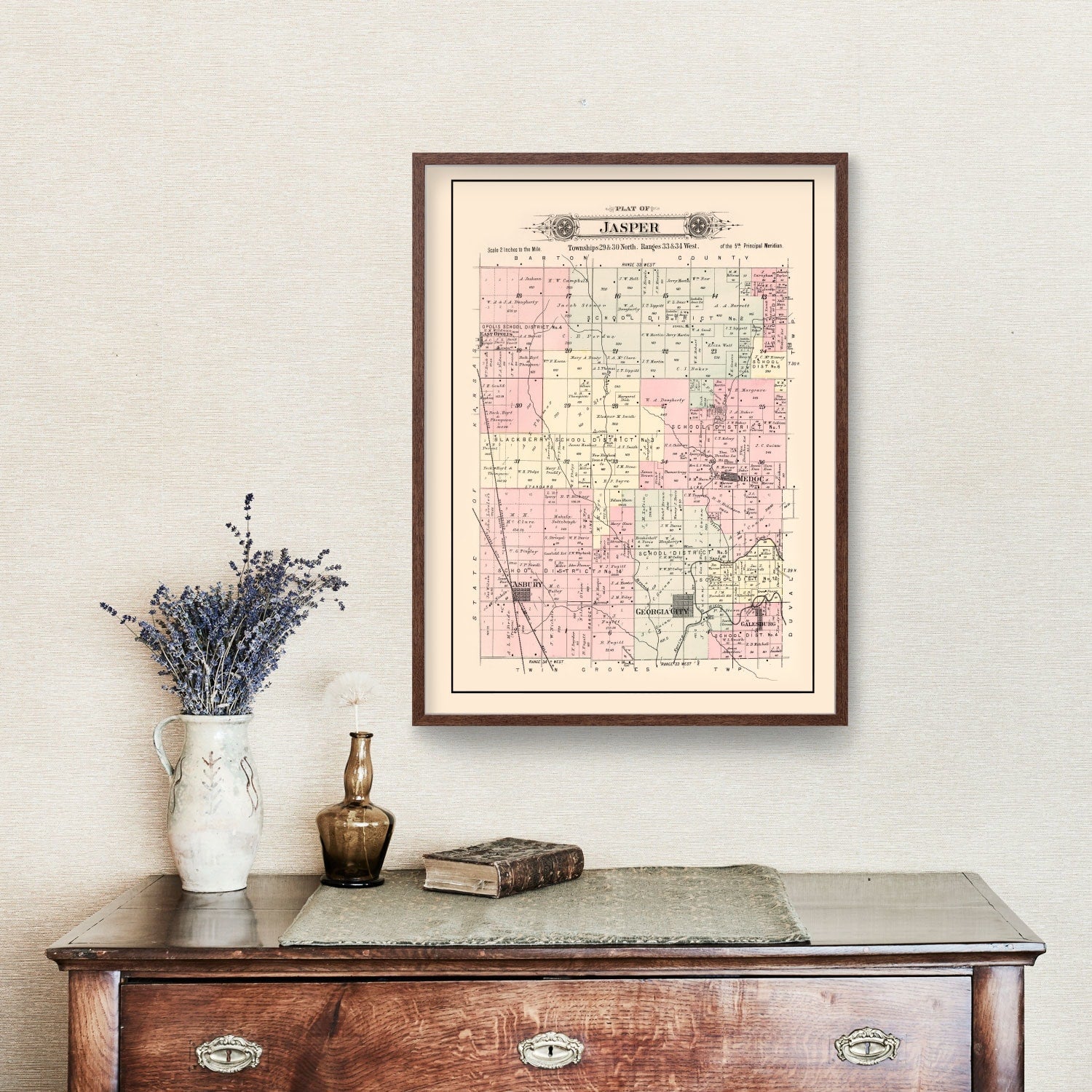 Vintage Map of Jasper Township, Jasper County, Missouri 1895