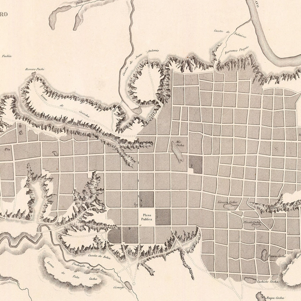 Vintage Map of Moyobamba, Peru 1865