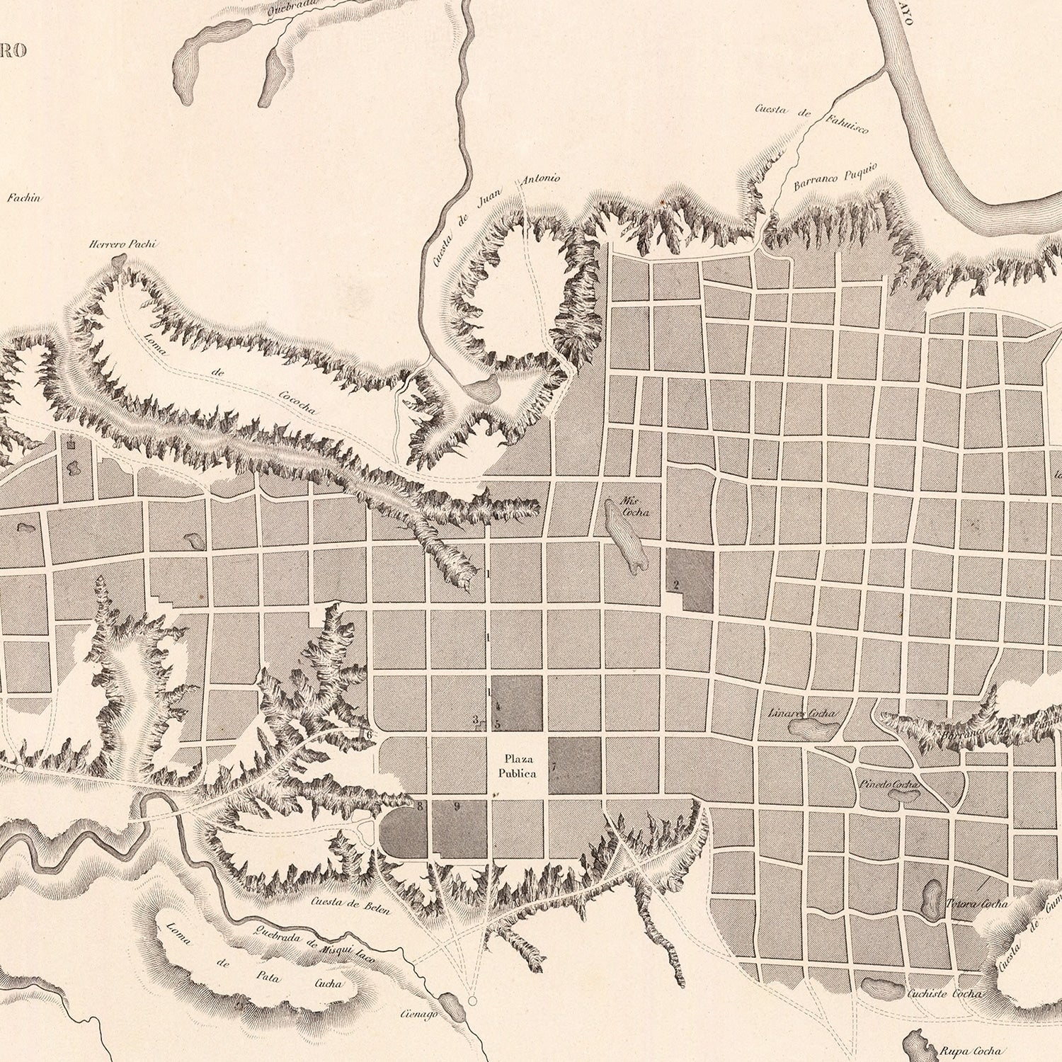 Vintage Map of Moyobamba, Peru 1865