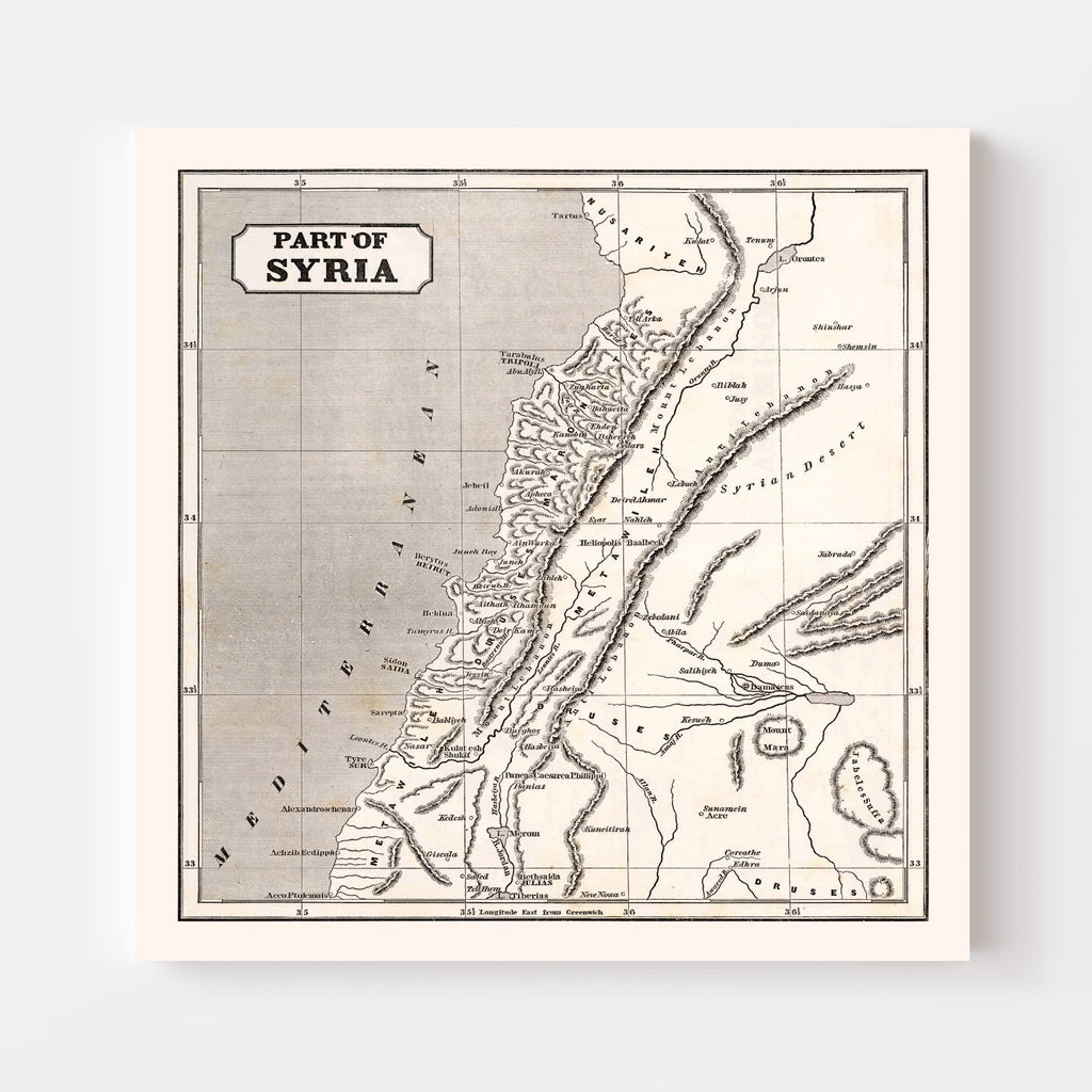 Vintage Map of Syria 1848