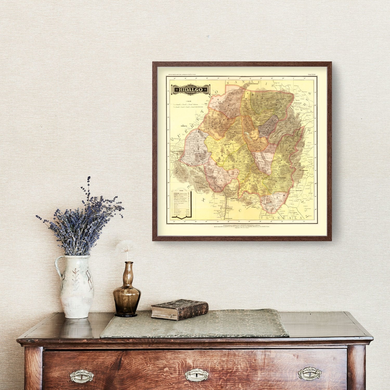 Vintage Map of Hidalgo Mexico, 1886