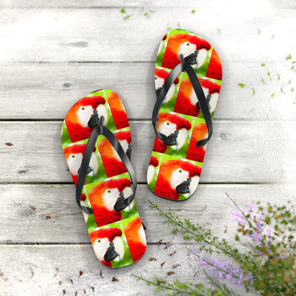 Scarlet Macaw Parrot Flip Flops
