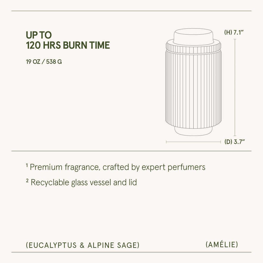 Amélie –  Eucalyptus & Alpine Sage Candle