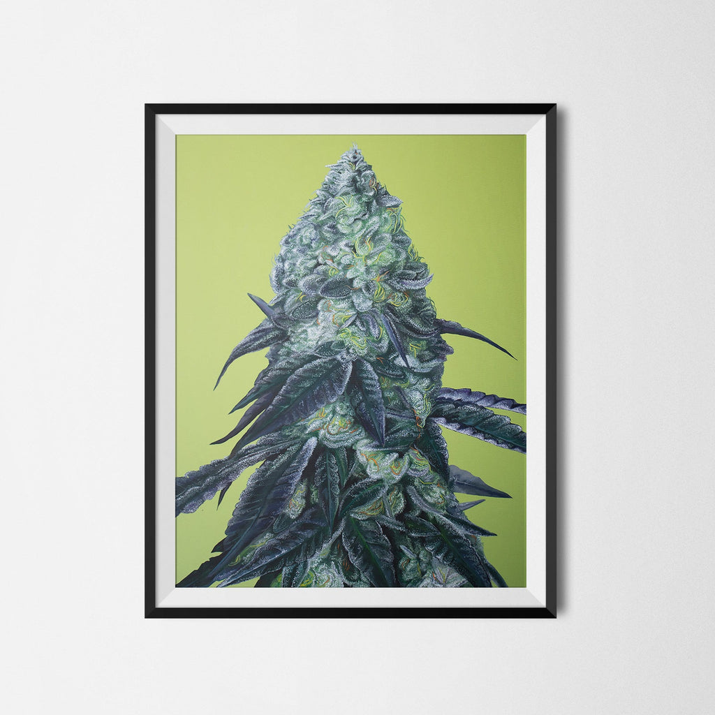 Animal Face 18x24 Poster