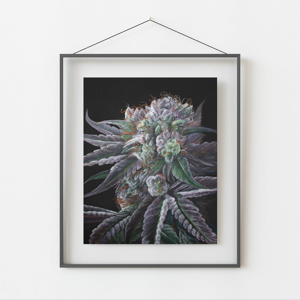 Black Afghan 8"x10" Print