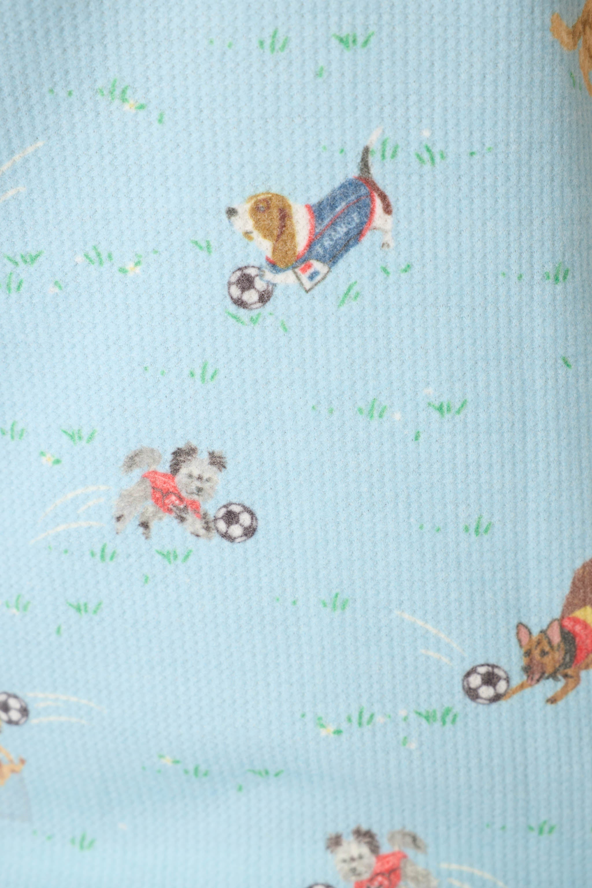 Boyfriend Boxer World Cup Pups Short Set