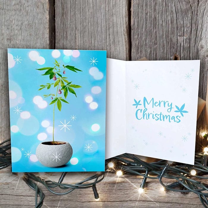 Potted Christmas Marijuana Plant Merry Christmas Greeting Cards (1, 10, 30, and 50pcs)