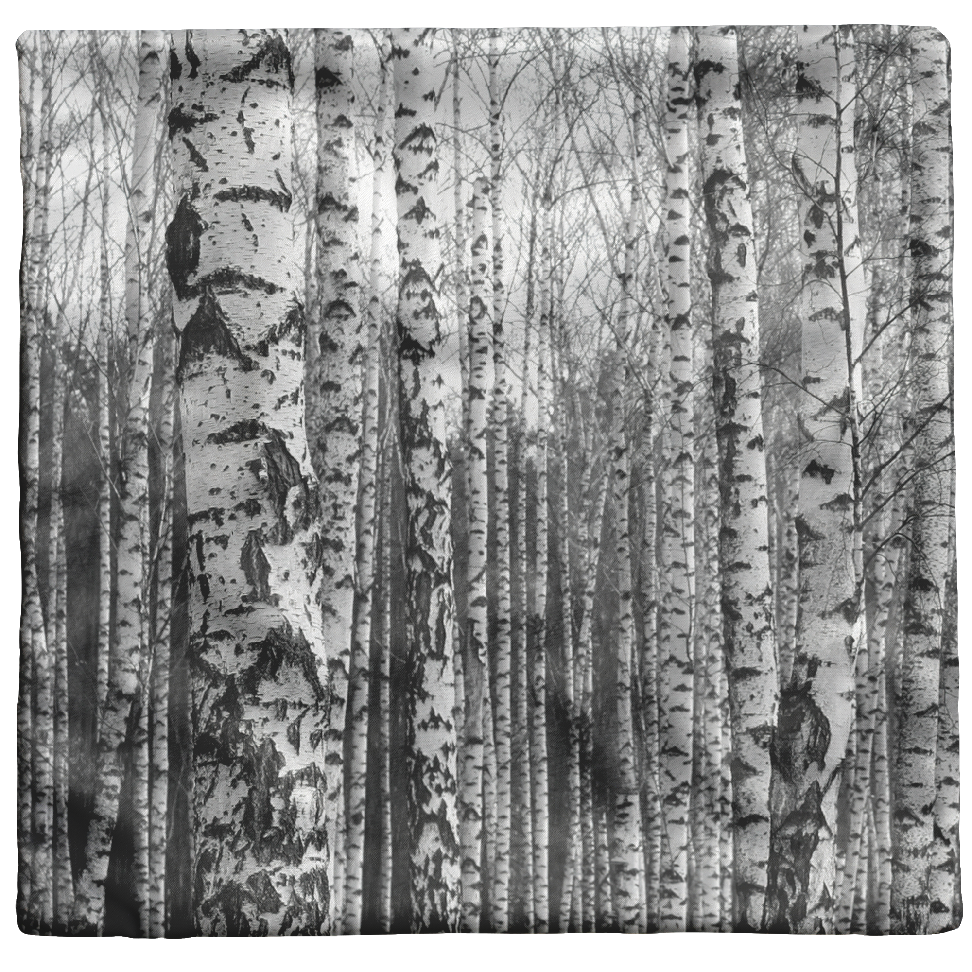 "Birch Trees in Winter" Throw Pillow