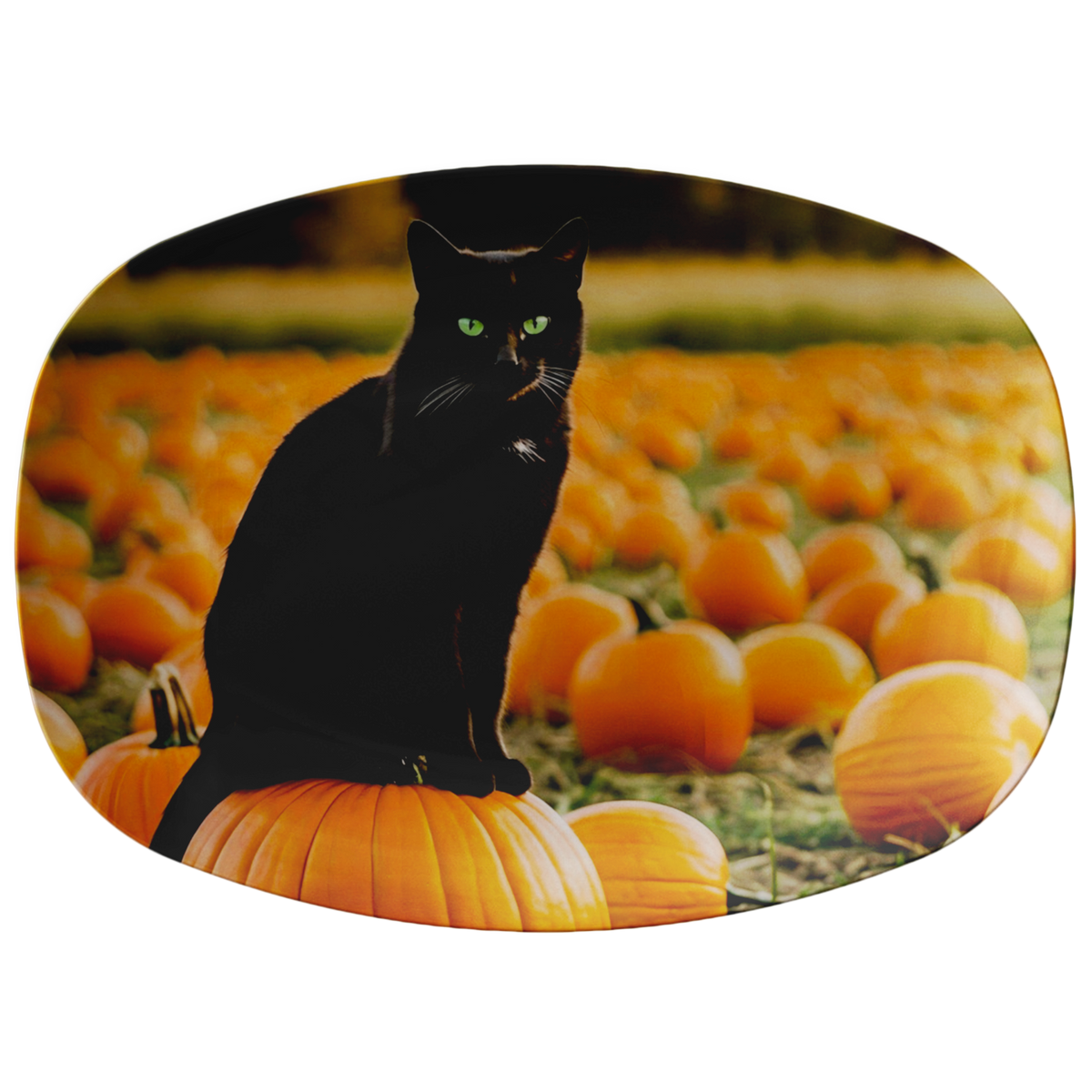 Black Cat in Pumpkin Patch Fall 10" x 14" Serving Platter