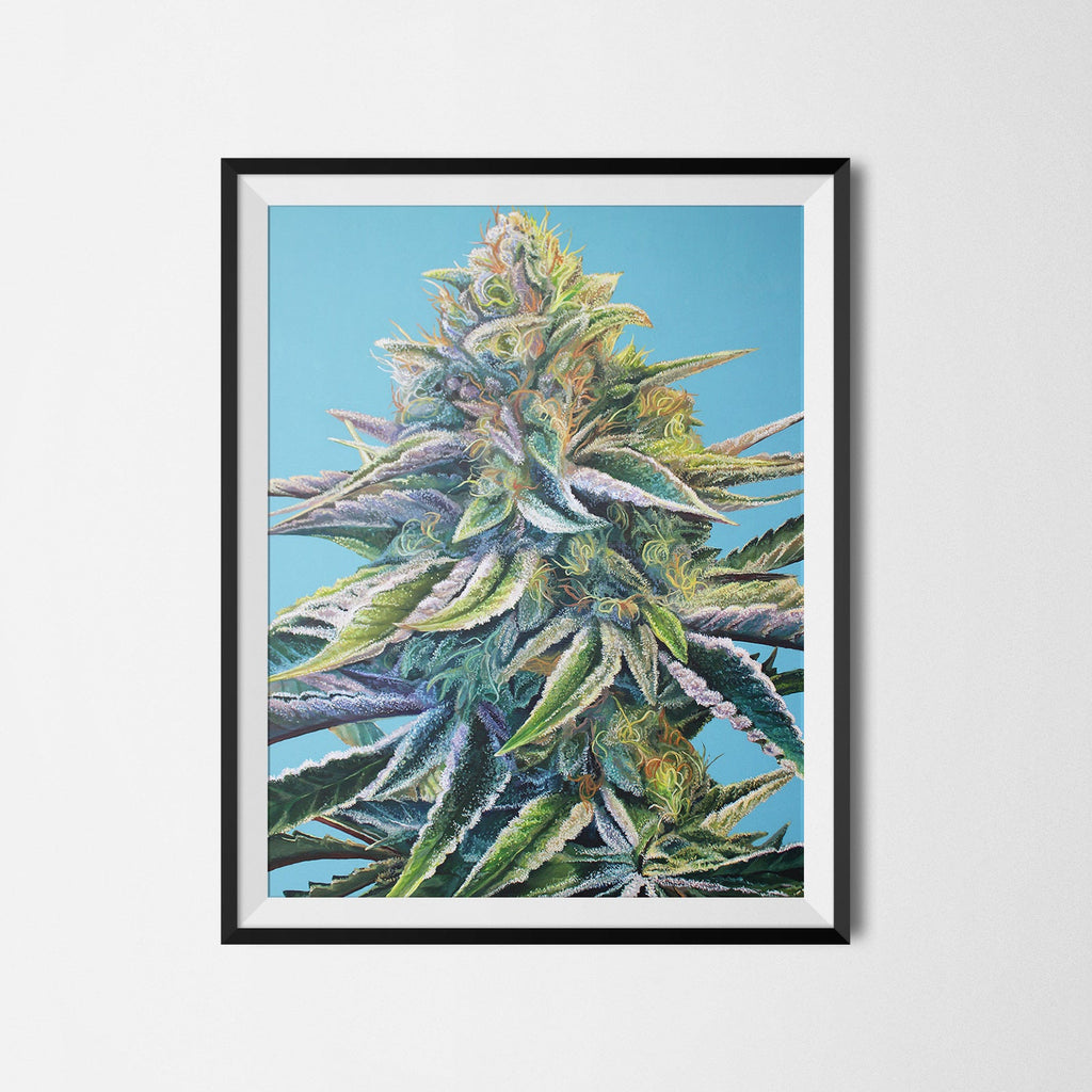 Blue Dream 18x24 Cannabis Poster
