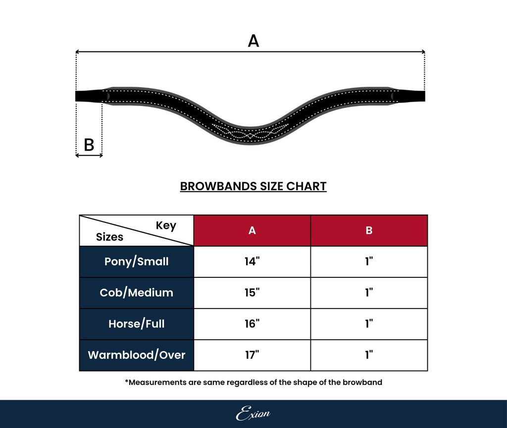 ExionPro Fuchsia Crystal Browband