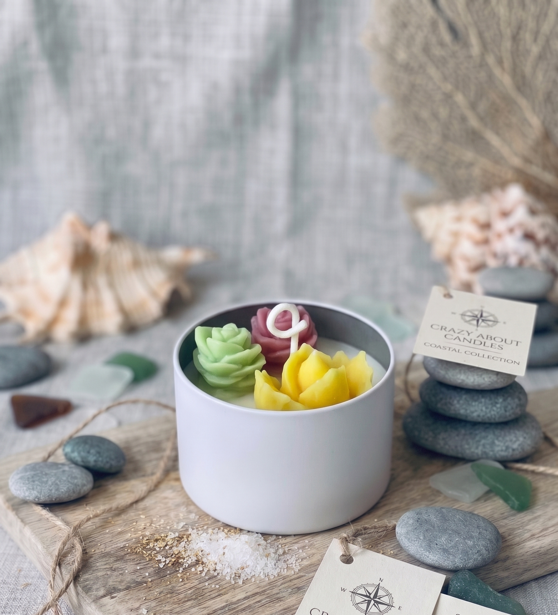 Cactus Jar Candle — Tricolor Rosette Garden | Soy Wax, Handmade in USA