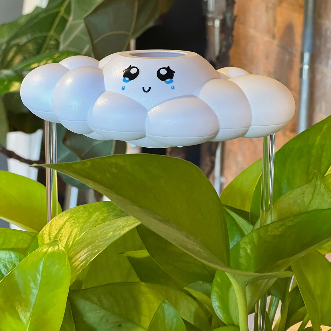 Clara The Cloud