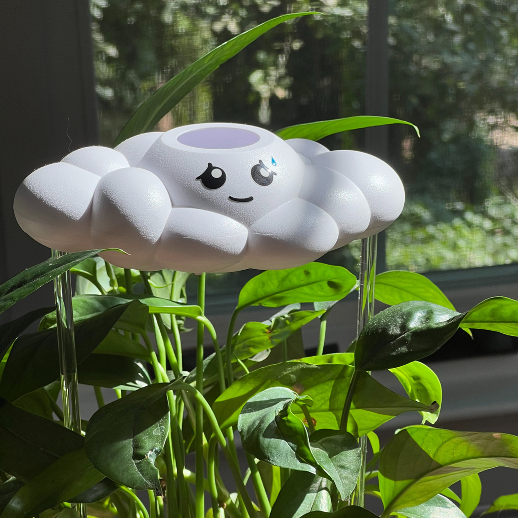Cory the Cloud