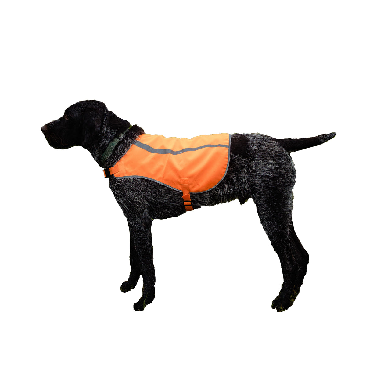 Dog Safety Vest