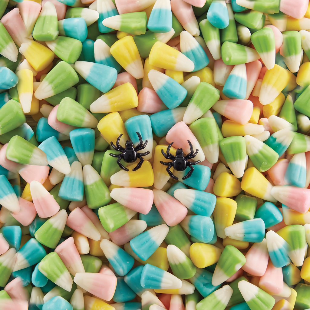 DEAL OF THE DAY: Too Cute to Spook Spider Earrings | Black Studs for Halloween, Spooky, Goth