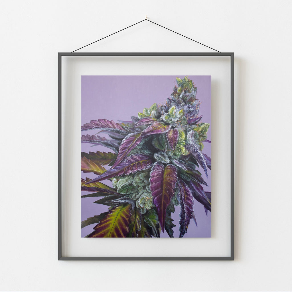 Dream Factory 8"x10" Print