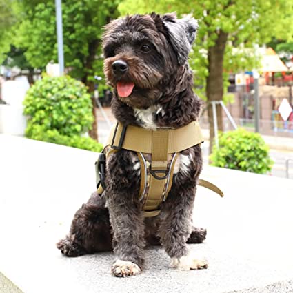 Tactical K9 Harness - Minimalist - Red Digi Camo