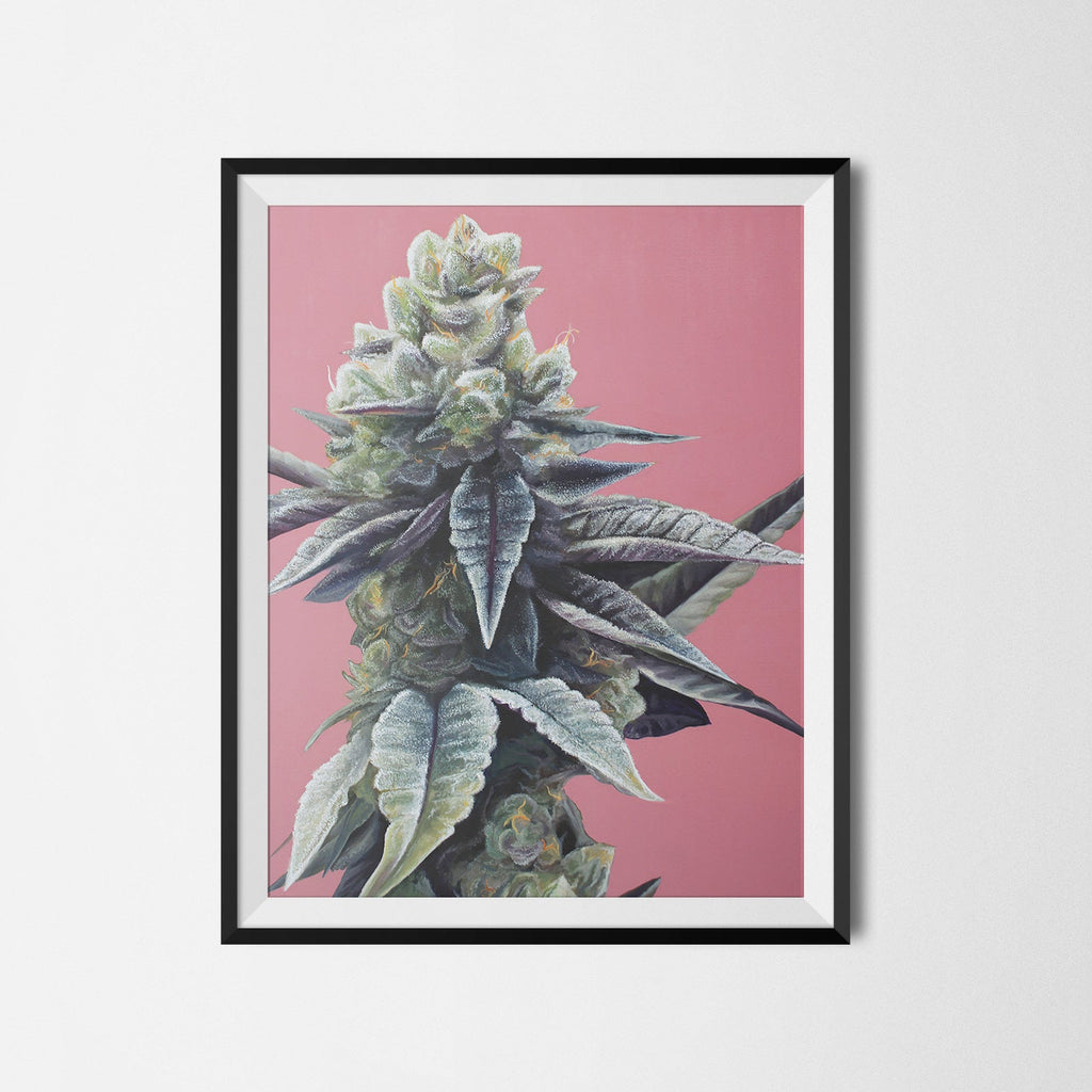 Dosidos 18"x24" Poster
