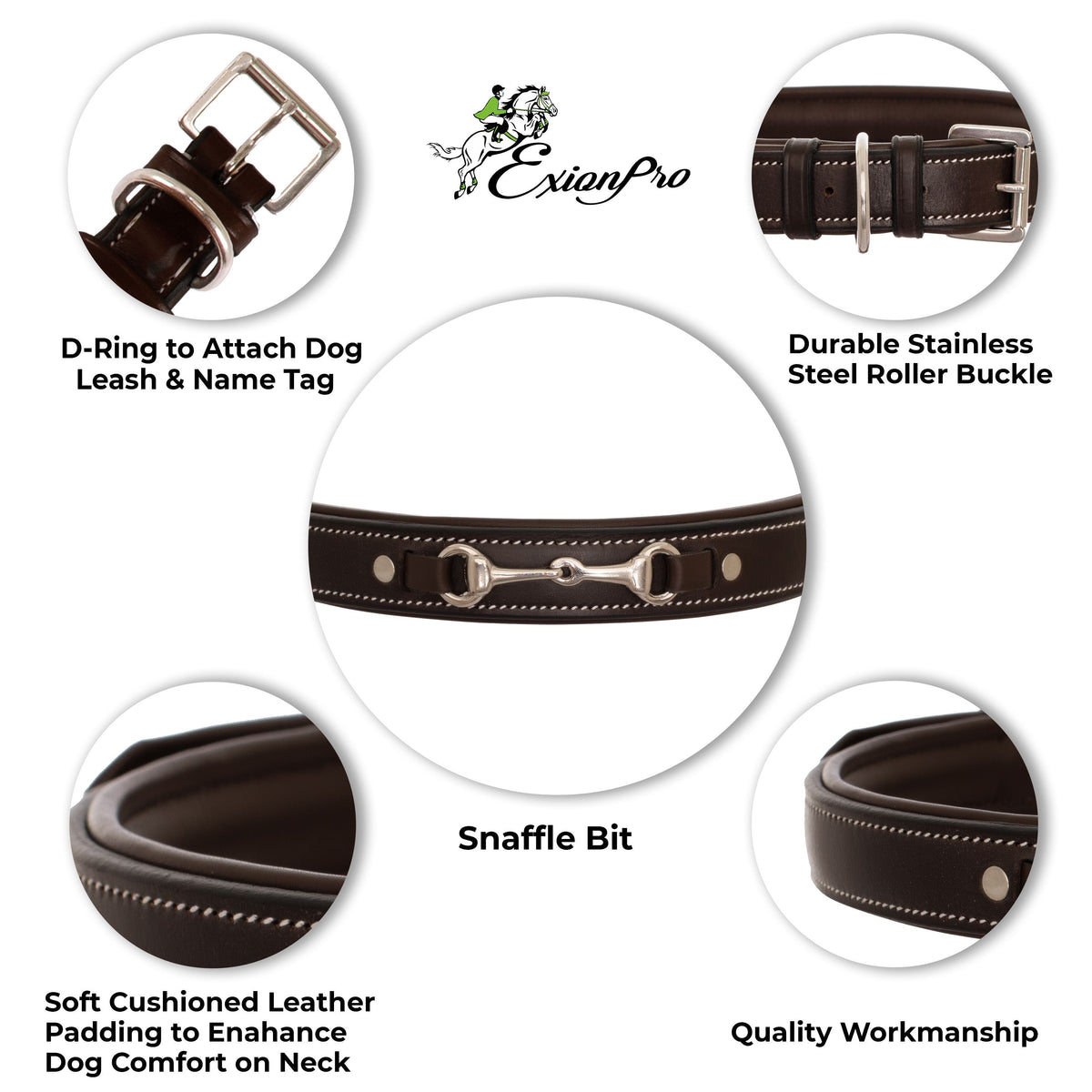 ExionPro Silver Snaffle Padded Leather Dog Collar - Conker Padding