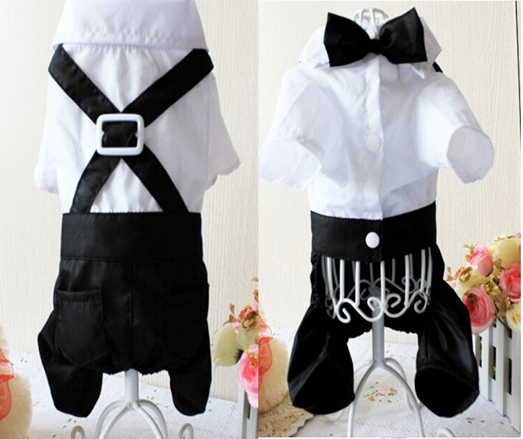 Handsome Stylish Pet Suit with Bow Tie