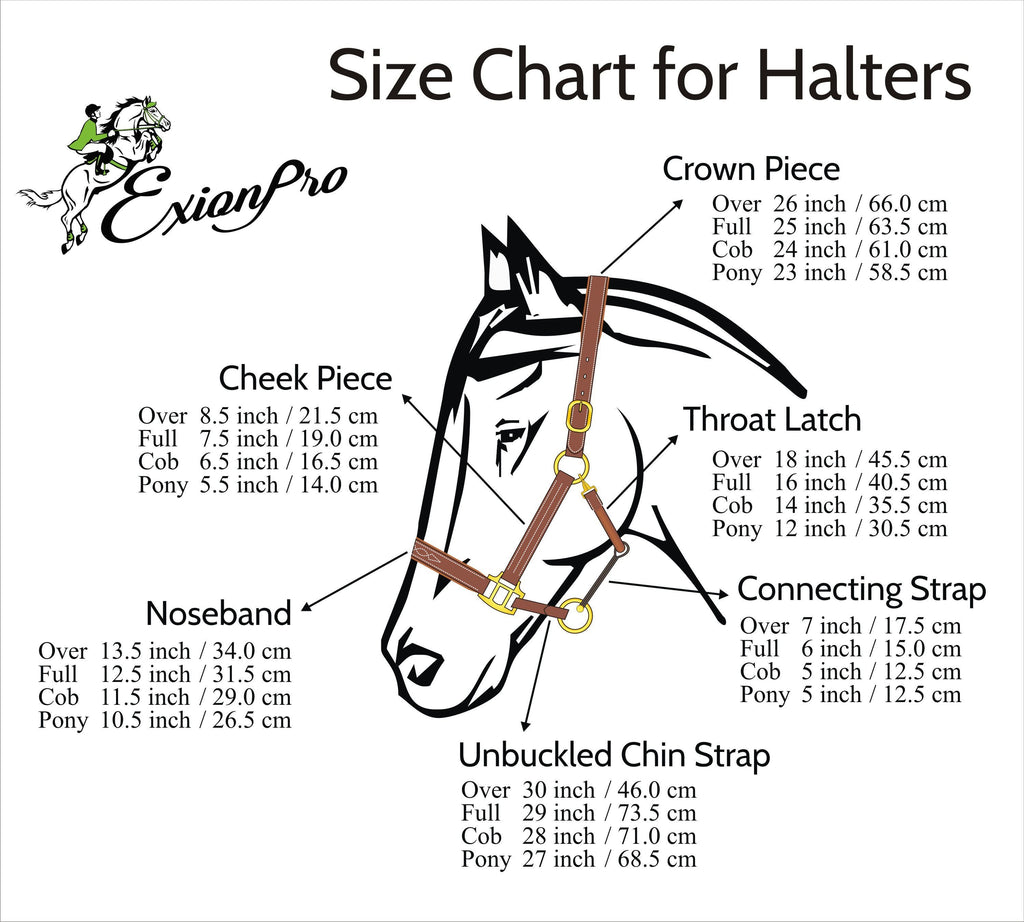 ExionPro Clincher Halter - Brass Hardware
