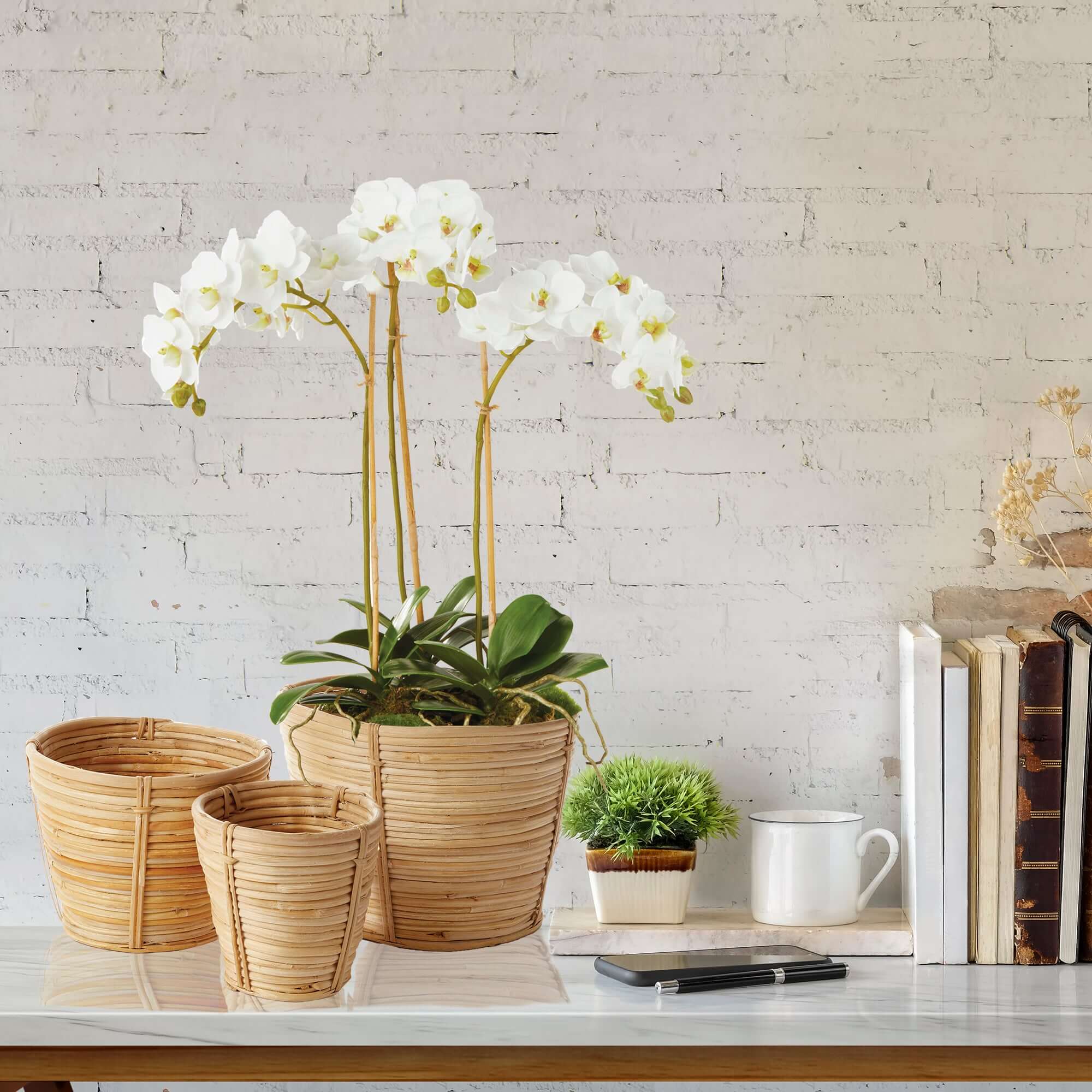 Handwoven Small Rattan Basket Planters (Set of 3)