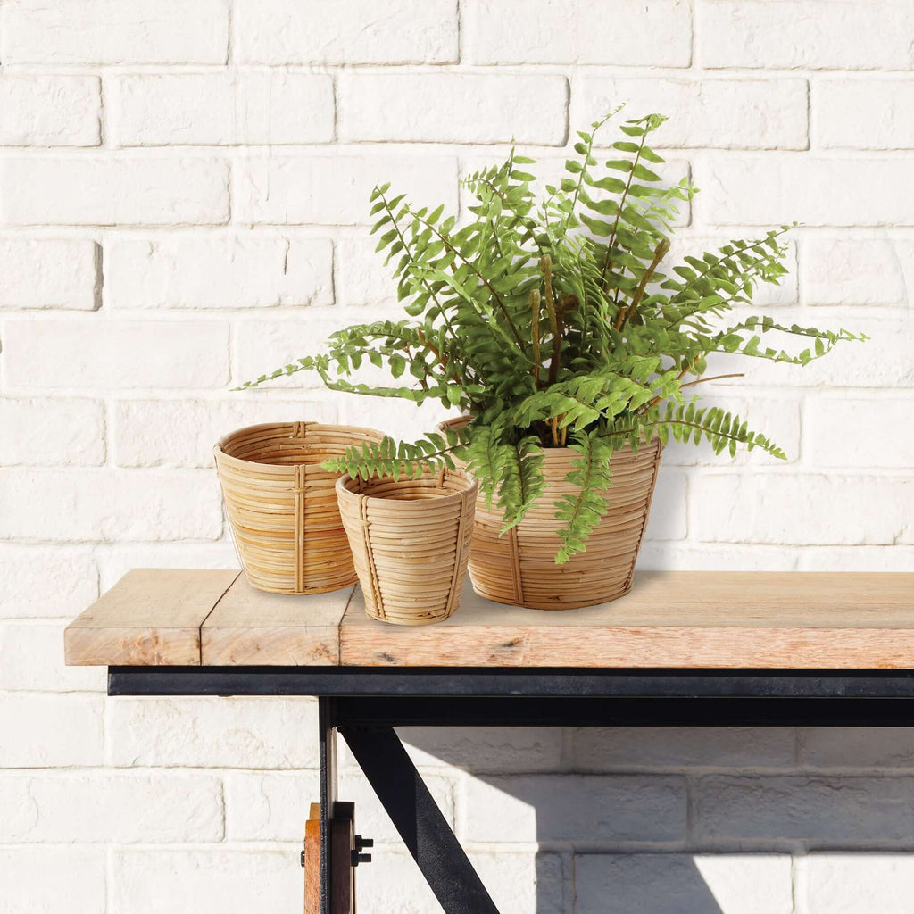 Handwoven Small Rattan Basket Planters (Set of 3)