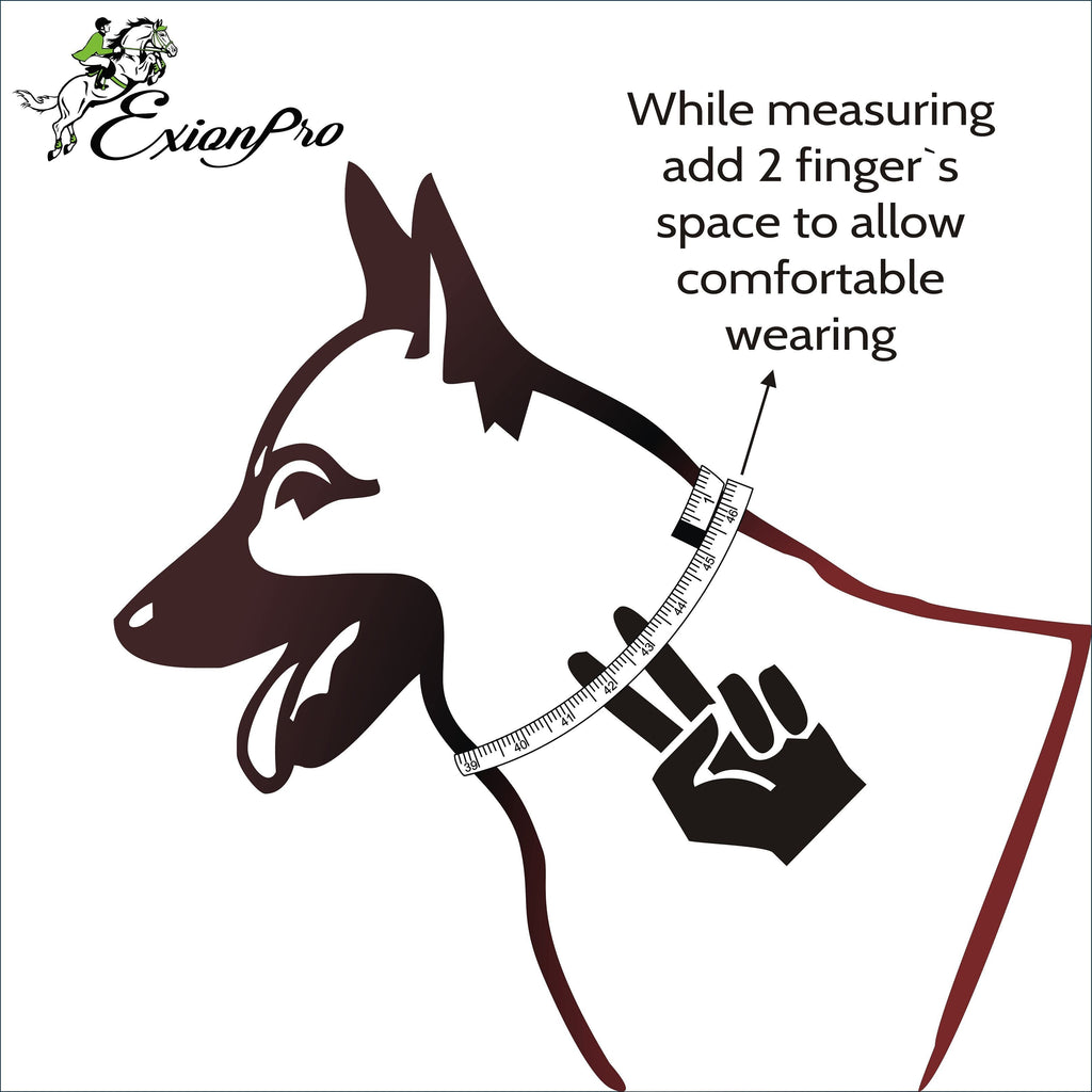ExionPro Silver Clincher Padded Leather Dog Collar - Conker Padding