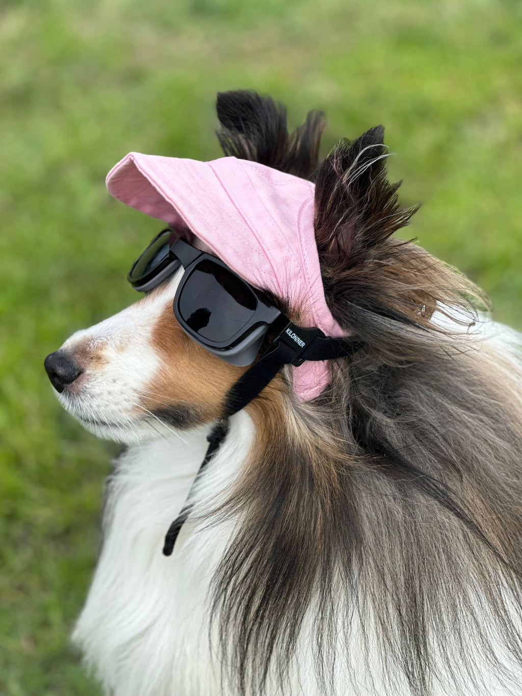 W1 Eye Defender Goggles