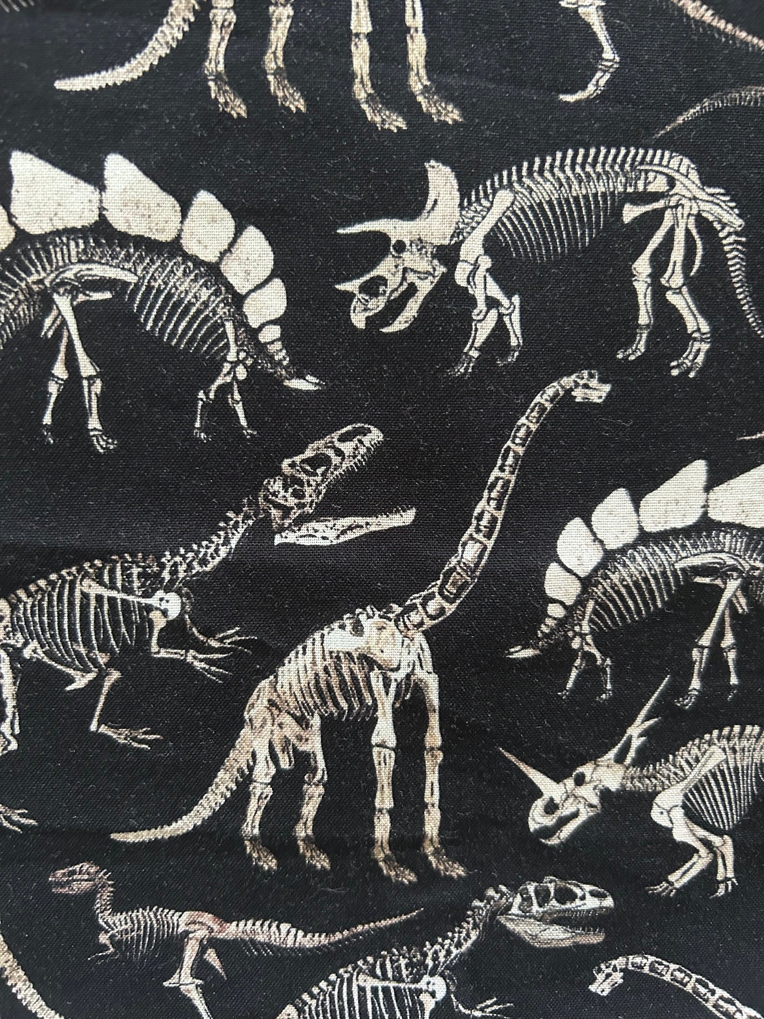 Dino Bones Bow Top